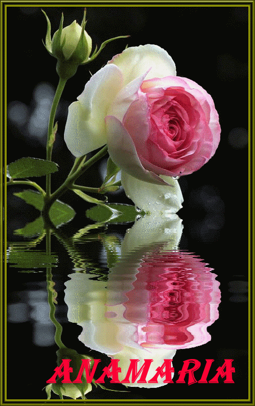  photo rosaan_zpsbdb2a4dd.gif