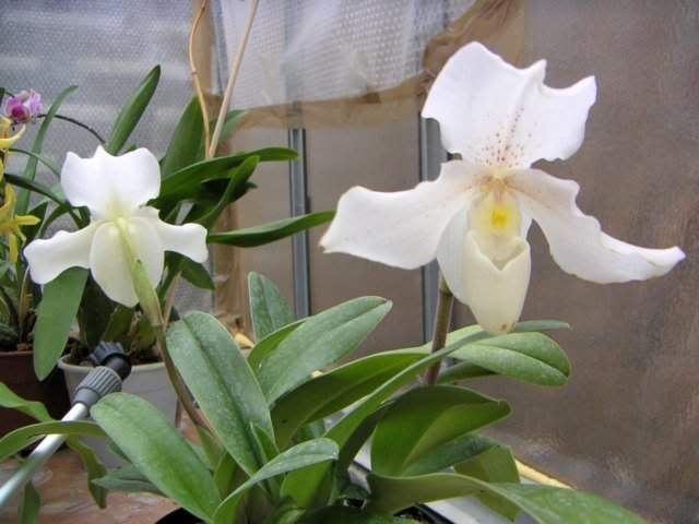 003271625.jpg