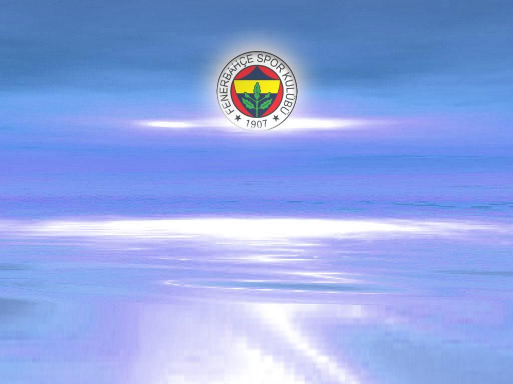 342.jpg