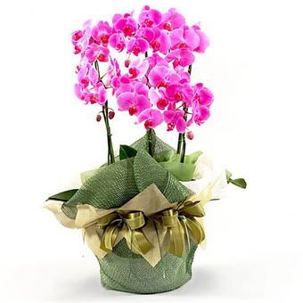 7669cd7b-41bd-4b00-a4d4-c225332eb7bb.jpg