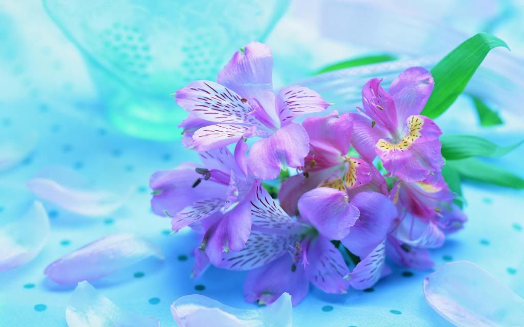 Beautiful_Fresh_Flowers_hd_wallpaper.jpg