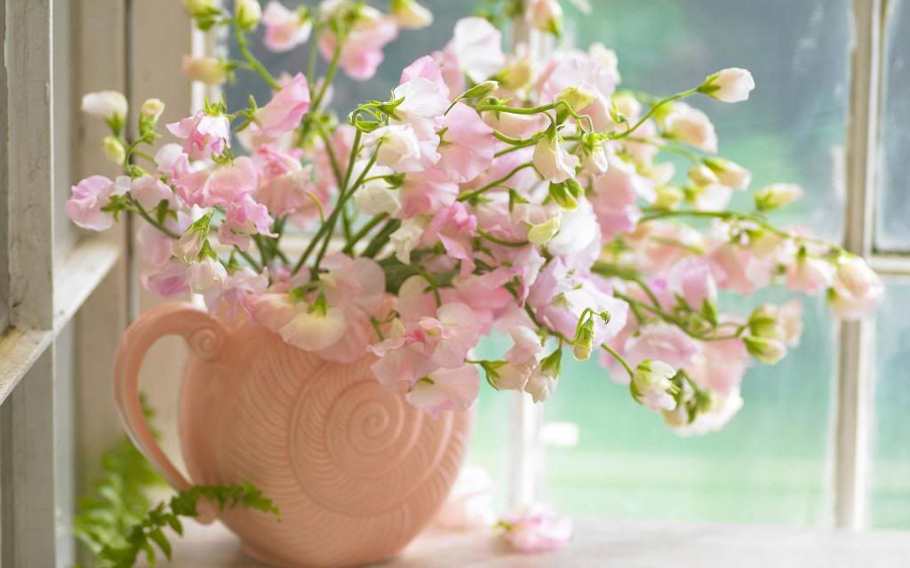 Energy_home_flowers_High_definition_wallpaper.jpg