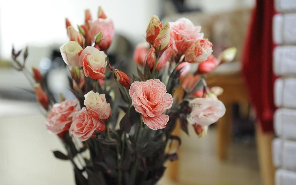 Flower_Breeding_and_Genetics_High_definition_wallpaper.jpg