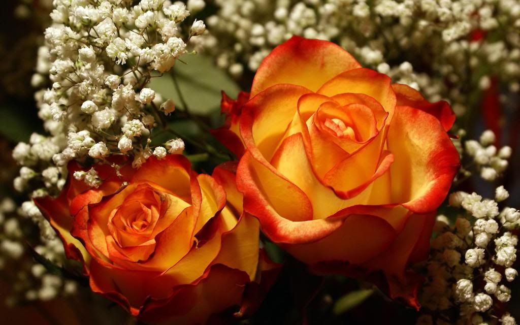 Perfectly_Roses_Wedding_bouquet_hd_wallpaper.jpg