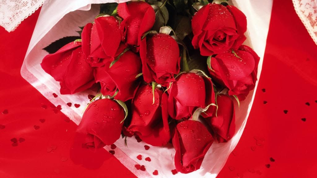 Roses_-_flower_lovers_widescreen_wallpaper.jpg