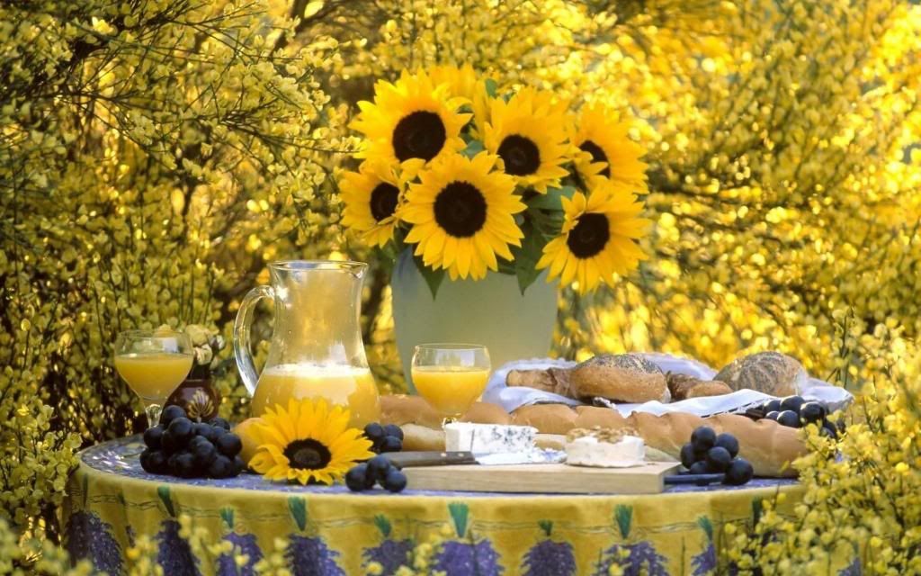 Summer_blooming_garden_widescreen_wallpaper.jpg