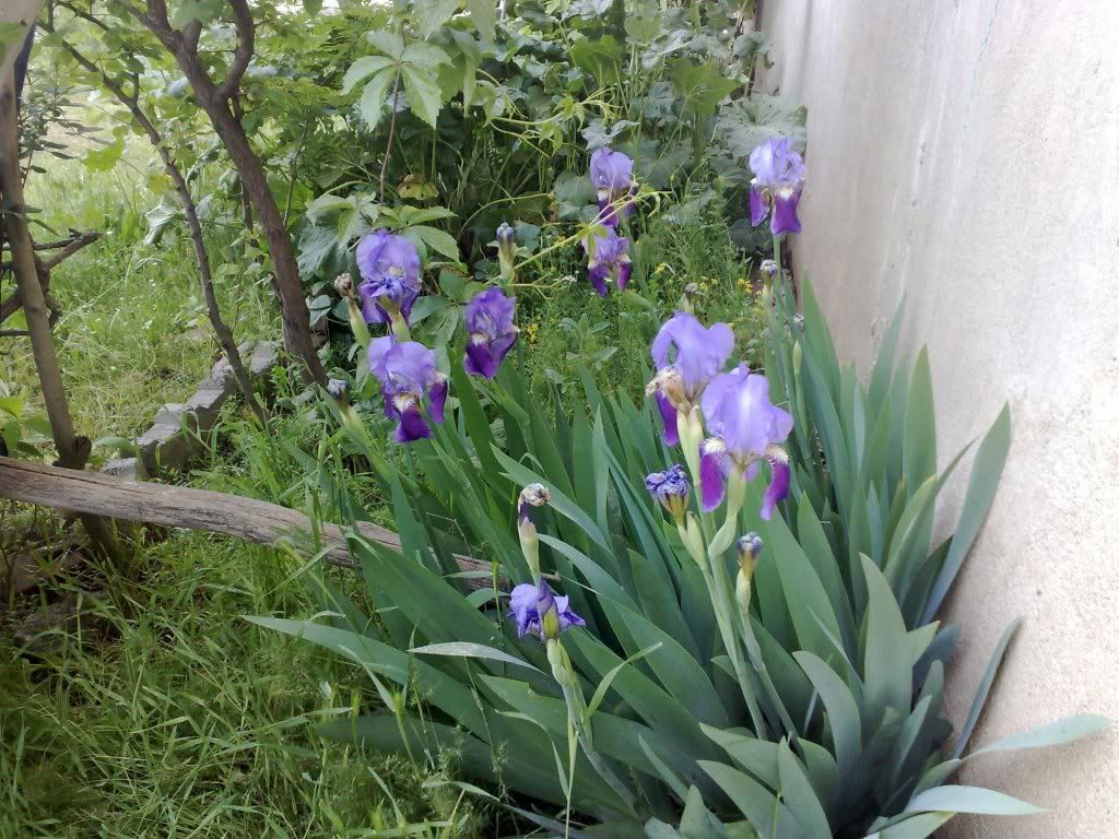 140520102219.jpg