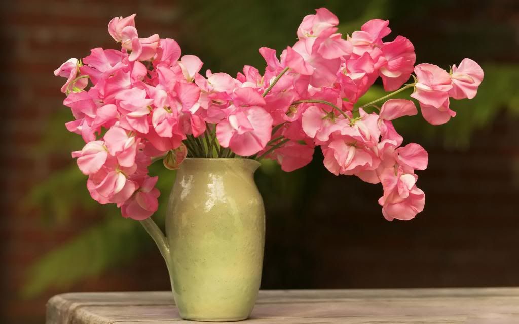 bouquet_of_delicate_pink_flowers_background_image_hd_wallpaper.jpg