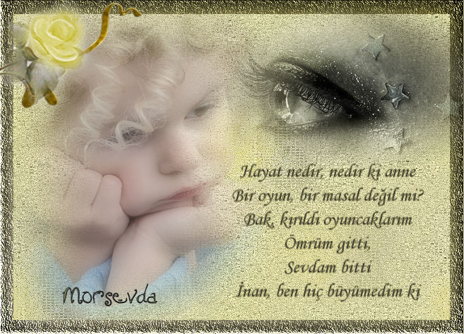 hayatnedirsk5dx3yq0.png