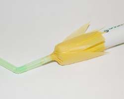 17flower-on-marker.jpg