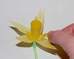 18pulling-down-petals.jpg