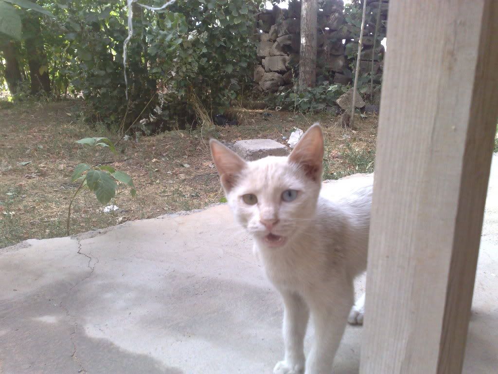 180920092005.jpg