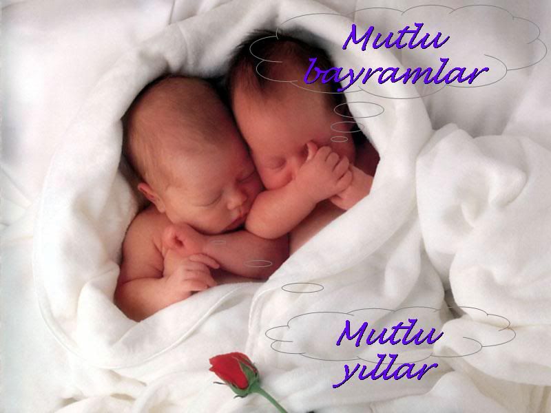 babmsiobuz9nx572s.jpg