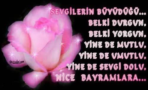 bayram100337xk.jpg