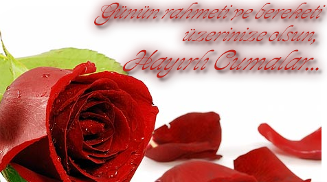 rose2cumazl1bg8.png