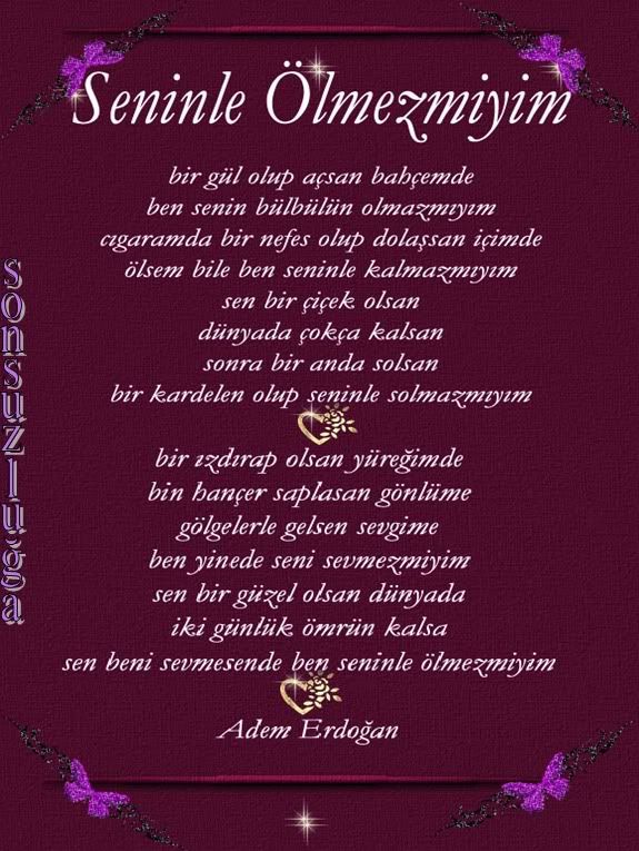 seninlelmezmiyim.jpg