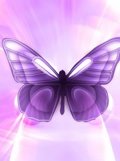 240x320-pink-purple-butterflie-mobile-wallpaper.jpg