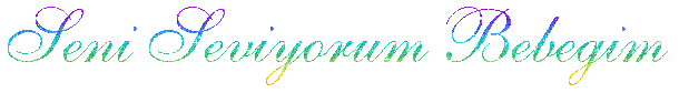 29ni2ic.gif