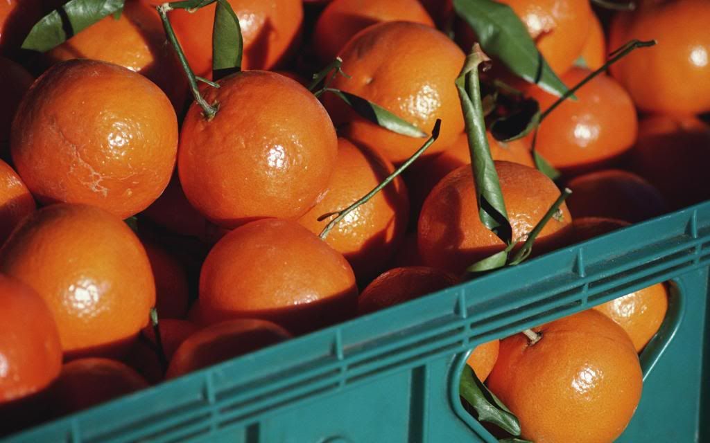 A_crop_of_oranges.jpg