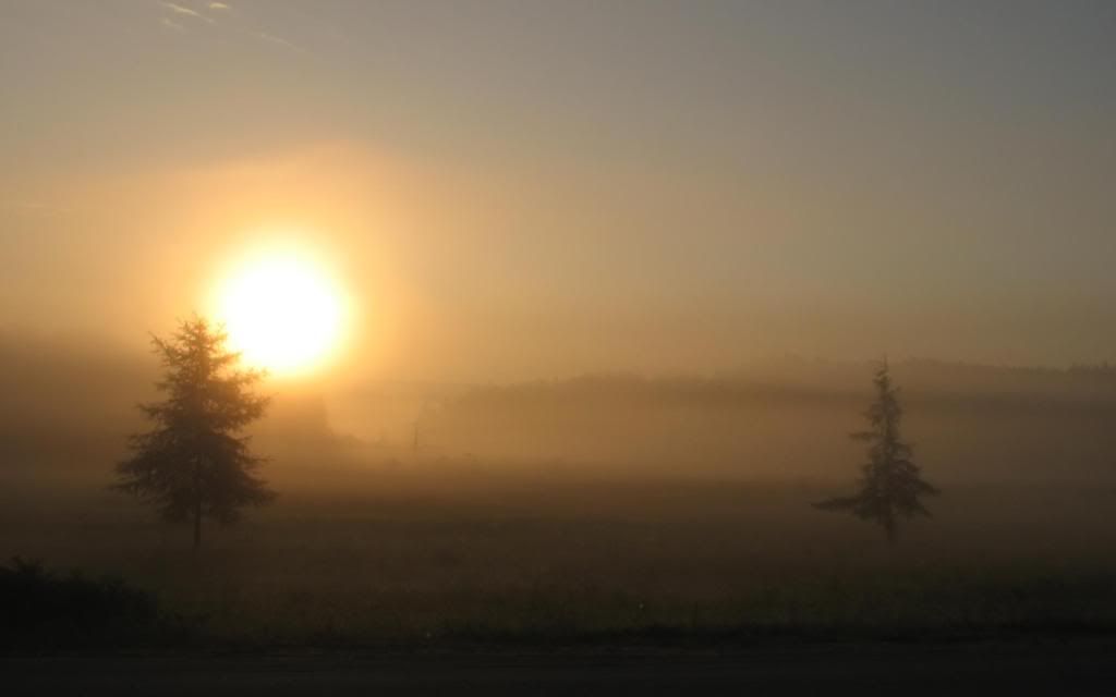 Autumn_mists_hd_wallpaper.jpg