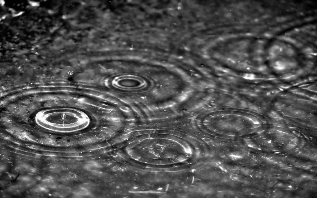Autumn_rain_hd_wallpaper.jpg