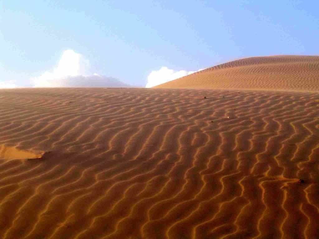 BTH_deserts.jpg