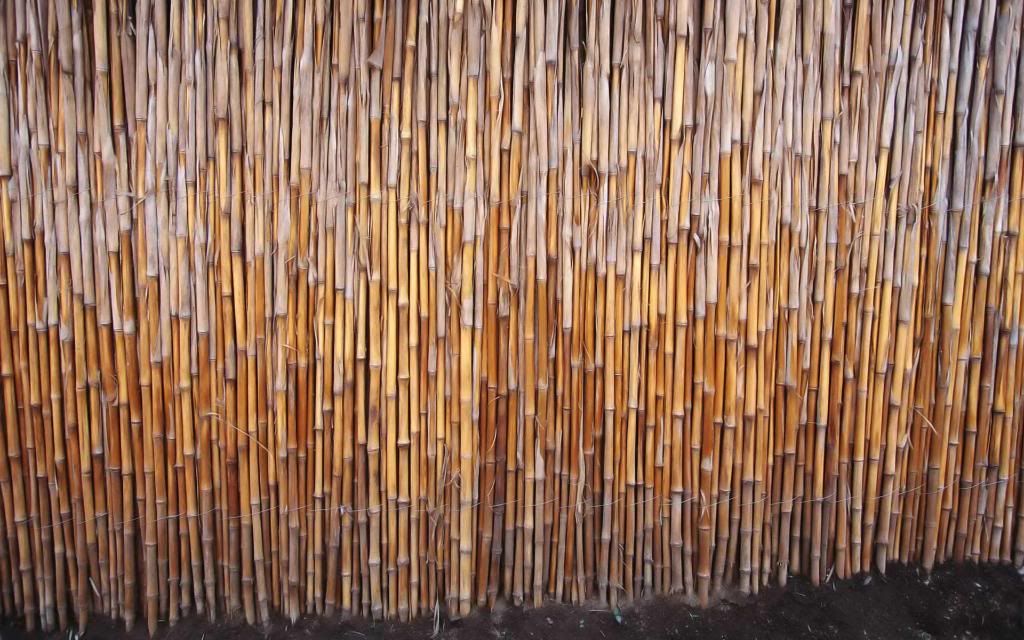 Bamboo_fence.jpg