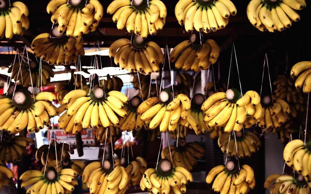 Bananas.jpg