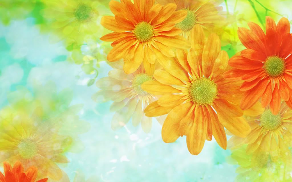 Beautiful_floral_theme.jpg