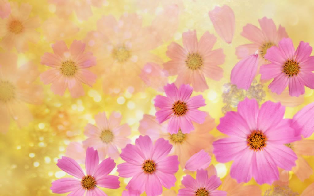 Beautiful_spring_flowers.jpg