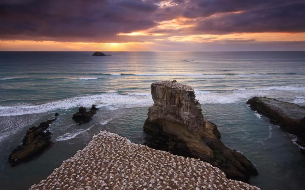 Bird_rock_sunset_hd_wallpaper.jpg