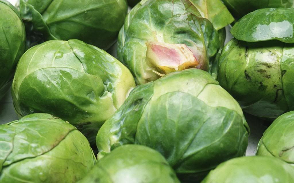 Broccoli.jpg
