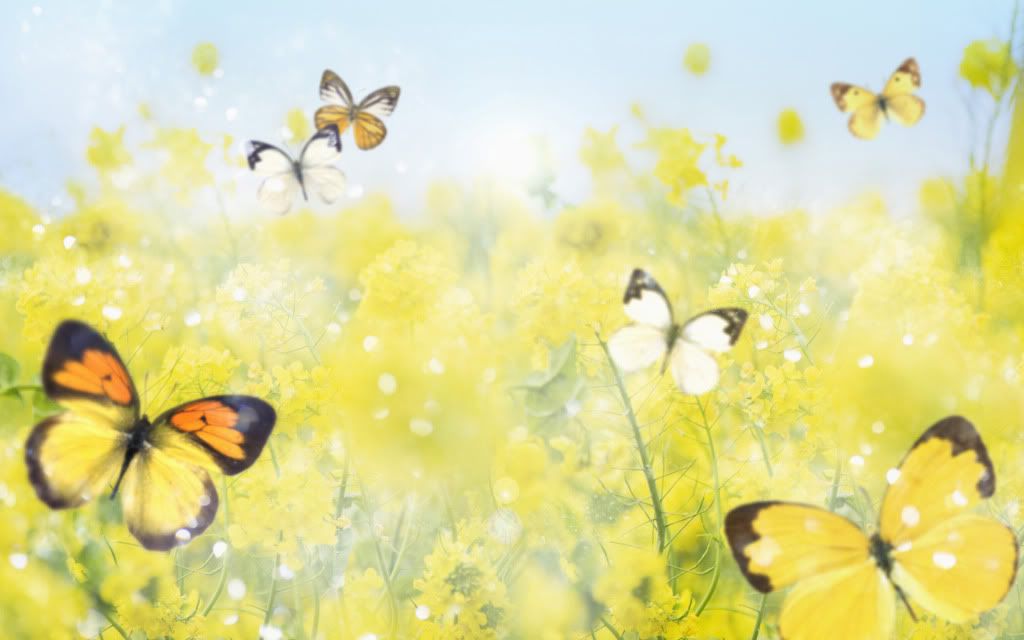 Butterflies_on_Forest_Lawn.jpg