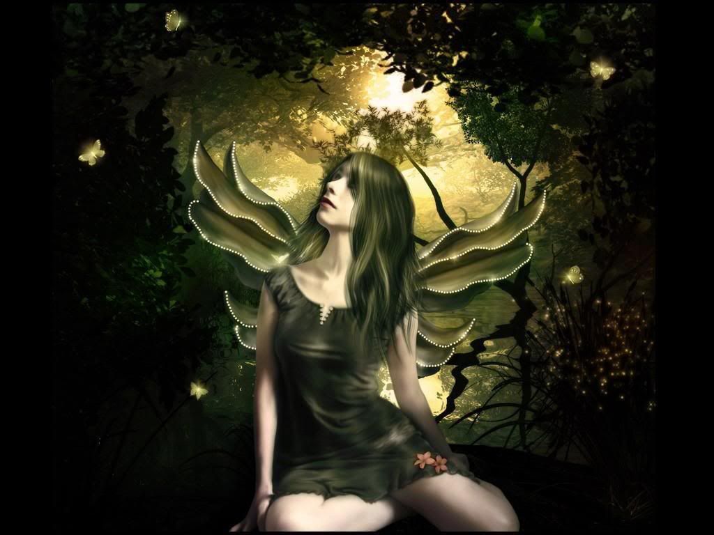Butterfly_Fairy_Wings.jpg