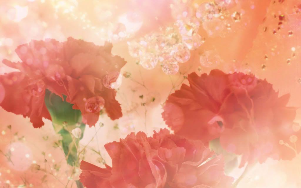 Carnations.jpg
