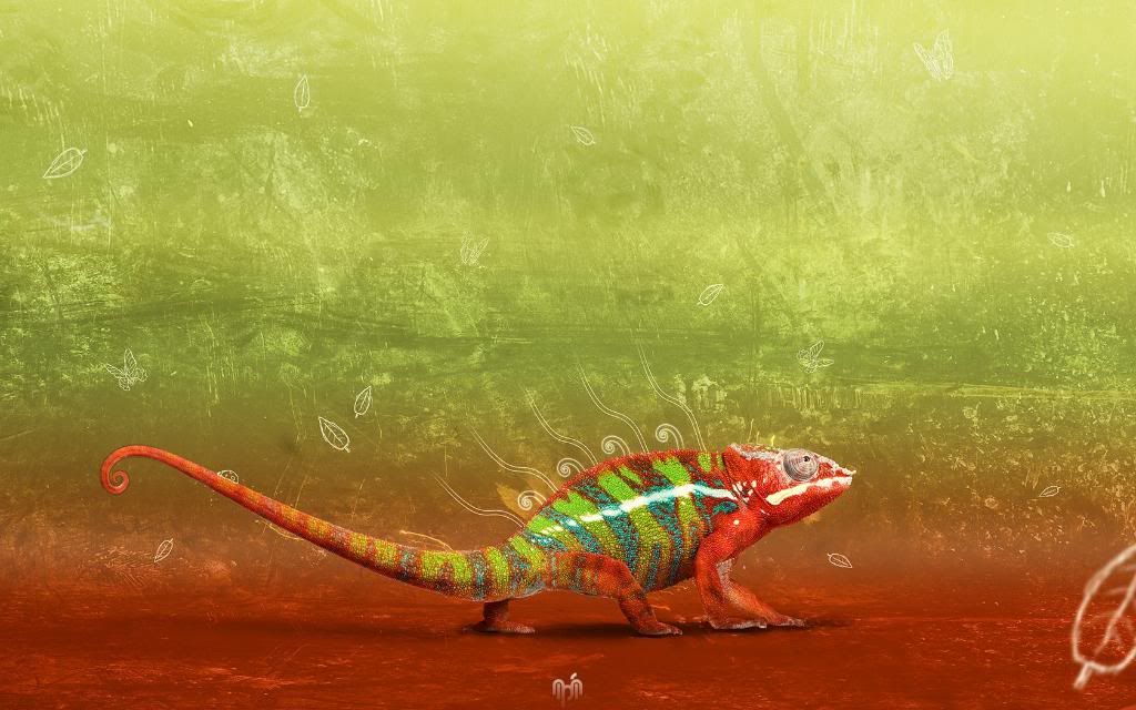 Chameleon1680x1050HDWallpaper.jpg