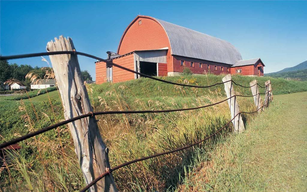 Cowshed.jpg