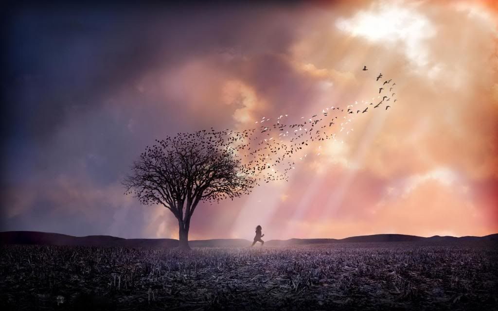 Devastation_hd_wallpaper.jpg