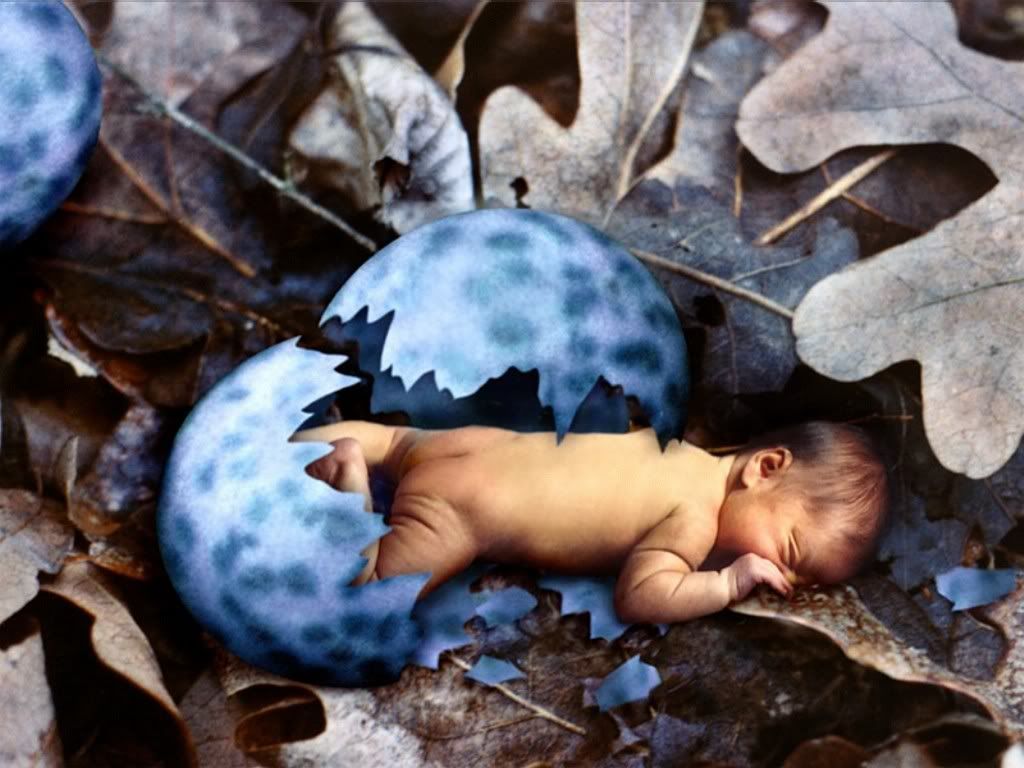 Early_Bird_Newborn.jpg