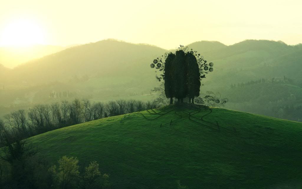 Edge_of_the_Forest.jpg
