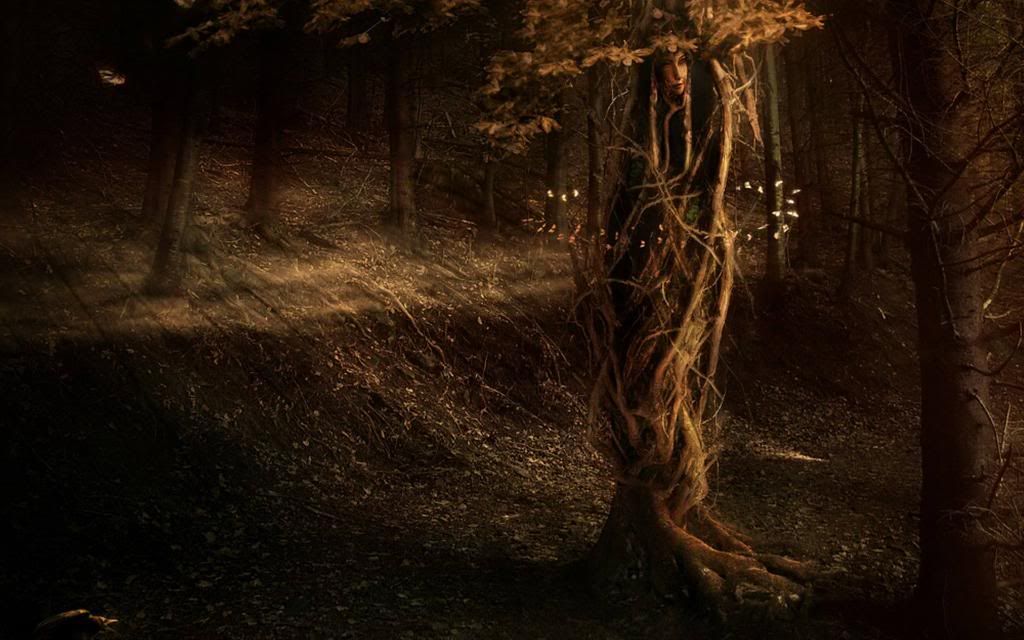 Fairy_Forest.jpg