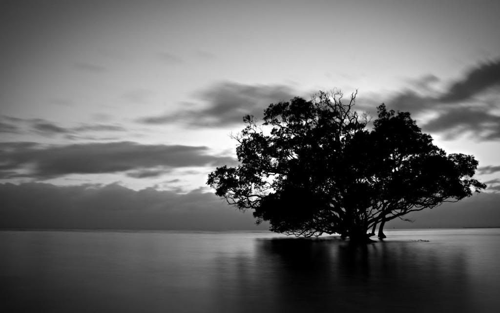 Flood_PC_Background_Widescreen_wallpaper.jpg