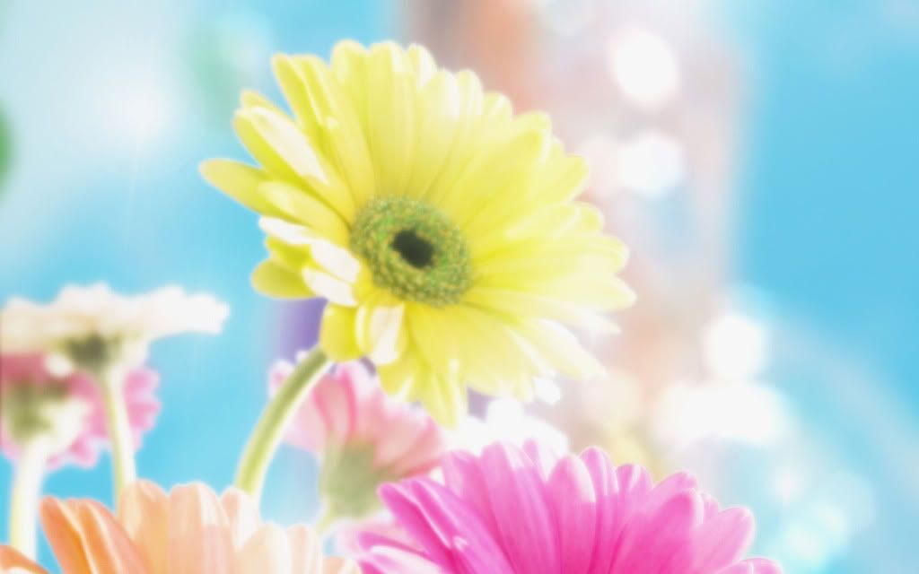Flowers.jpg