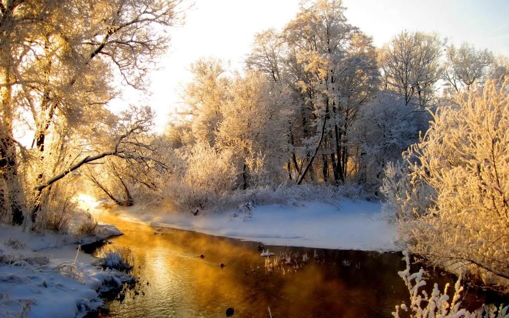 Frosty_day_forest_and_stream_hd_wallpaper.jpg