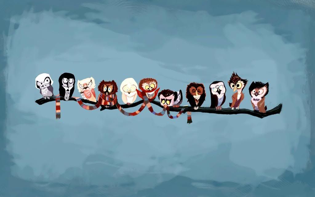 Funny_owls_hd_wallpaper.jpg