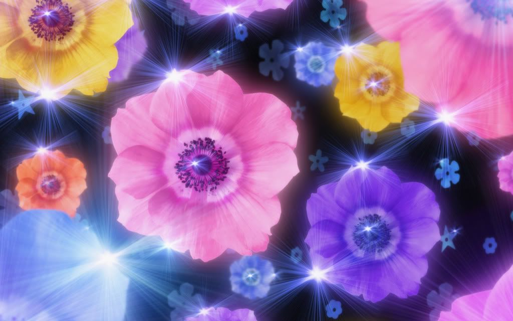 Glamor_Flowers.jpg
