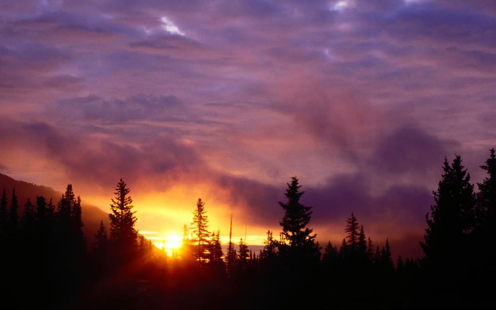 Golden_evening_sunset_-_Olympic_National_Washington.jpg
