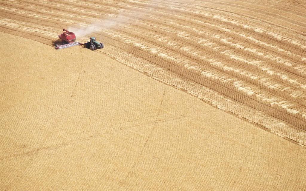 Harvest.jpg