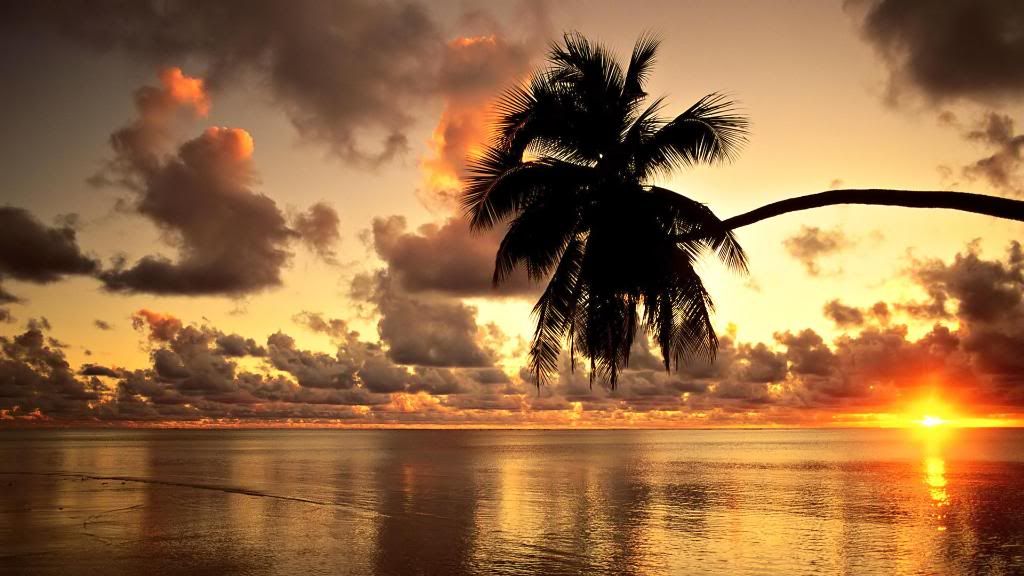 Hawaii_Condos_Golden_sunset_hd_wallpaper.jpg