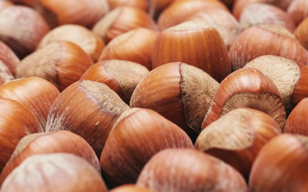 Hazelnut.jpg